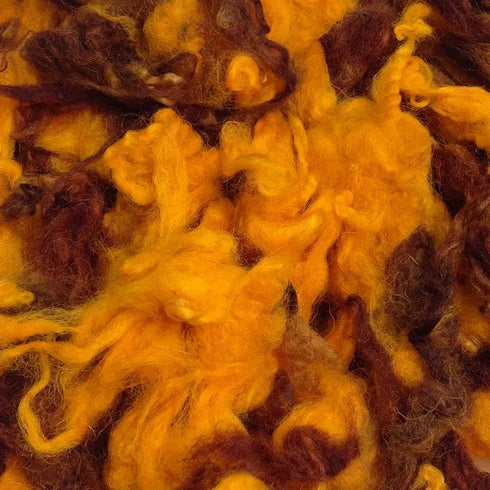 Autumn Colour Raw Wool